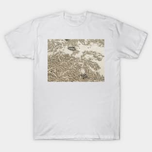 patterns of crabs T-Shirt